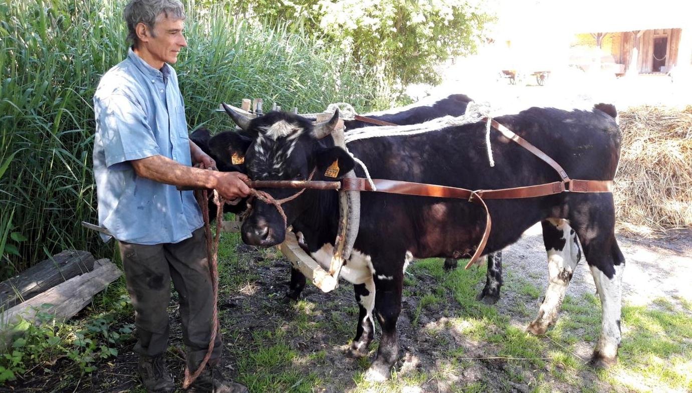 rencontres 2017 alsace 4 ok