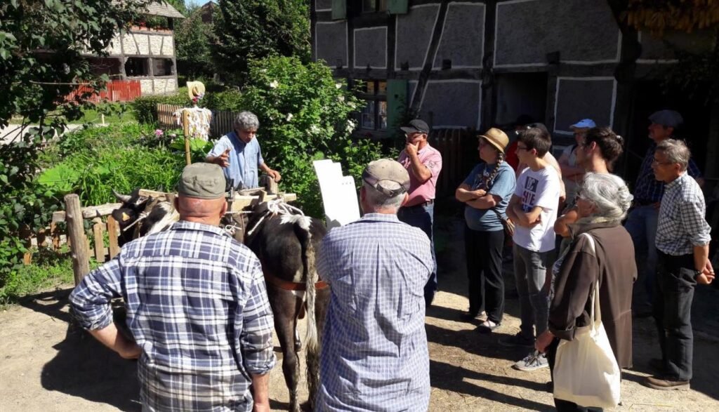 rencontres 2017 alsace 5 ok