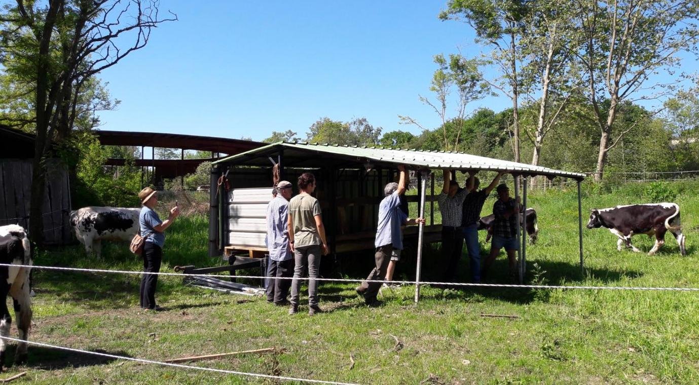 rencontres 2017 alsace 8 ok