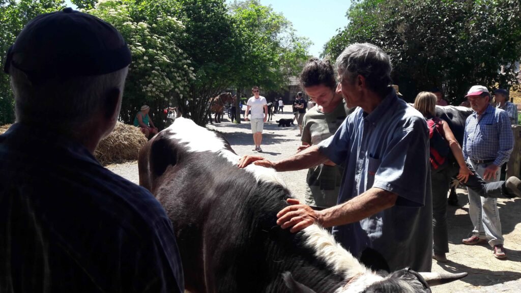 rencontres 2017 alsace ok (27)