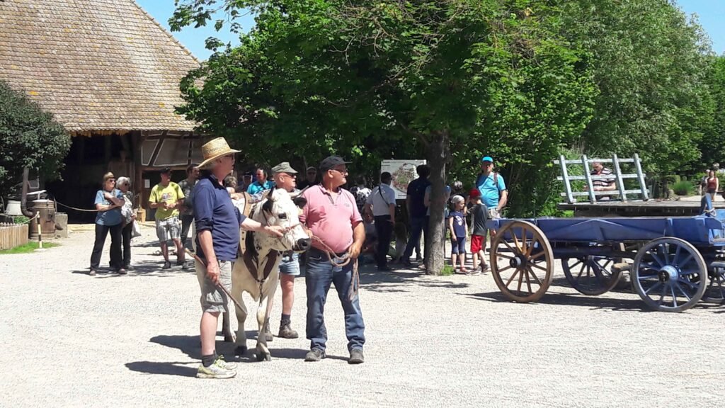 rencontres 2017 alsace ok (31)