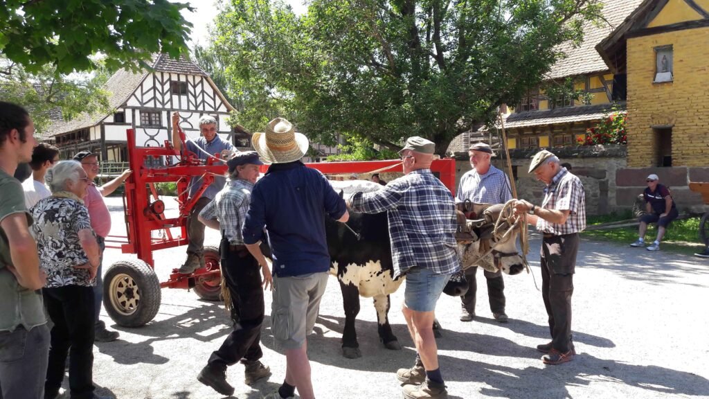 rencontres 2017 alsace ok (36)