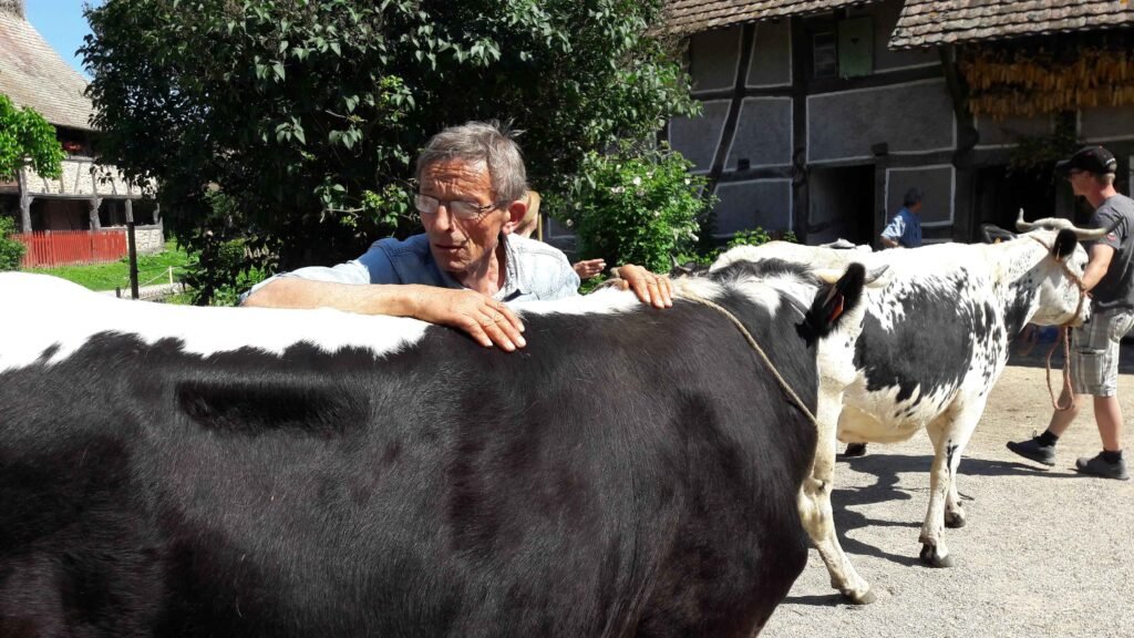 rencontres 2017 alsace ok (38)