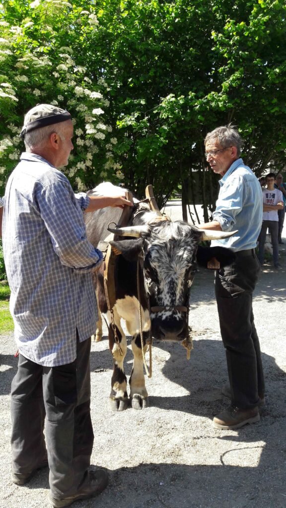 rencontres 2017 alsace ok (39)