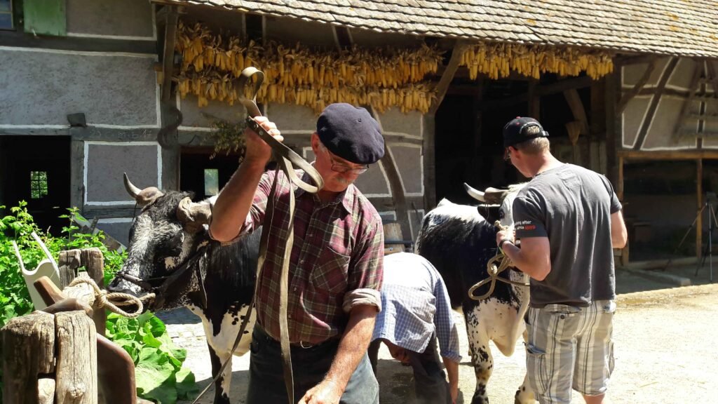 rencontres 2017 alsace ok (41)