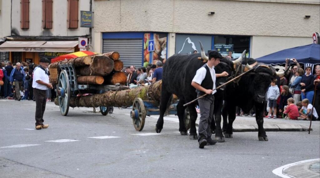 autrefois le couserans CAUJOLLES François DOD REIS Remi ok