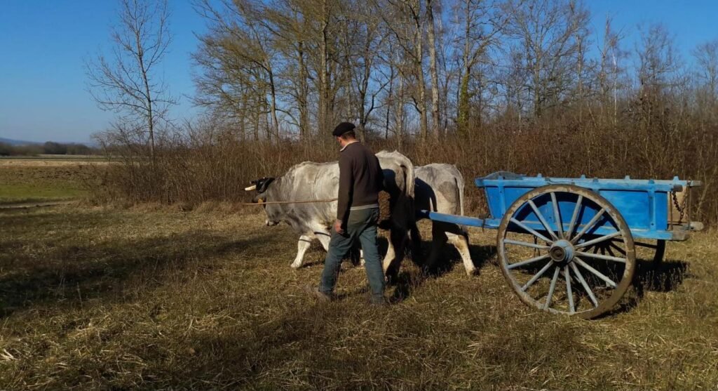 nettoyage terre laurent janaudy 12 ok