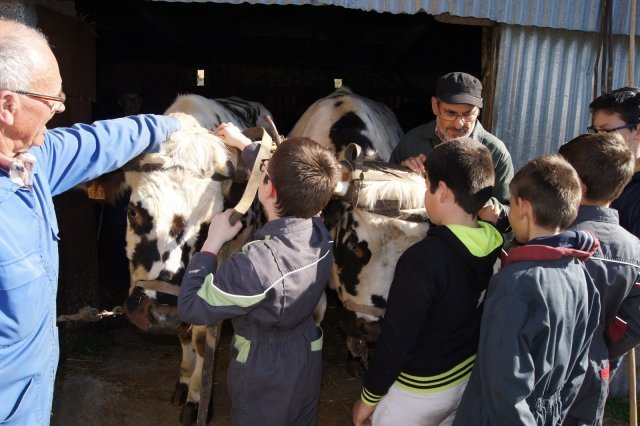 dsc01351_1600x1065-557e0