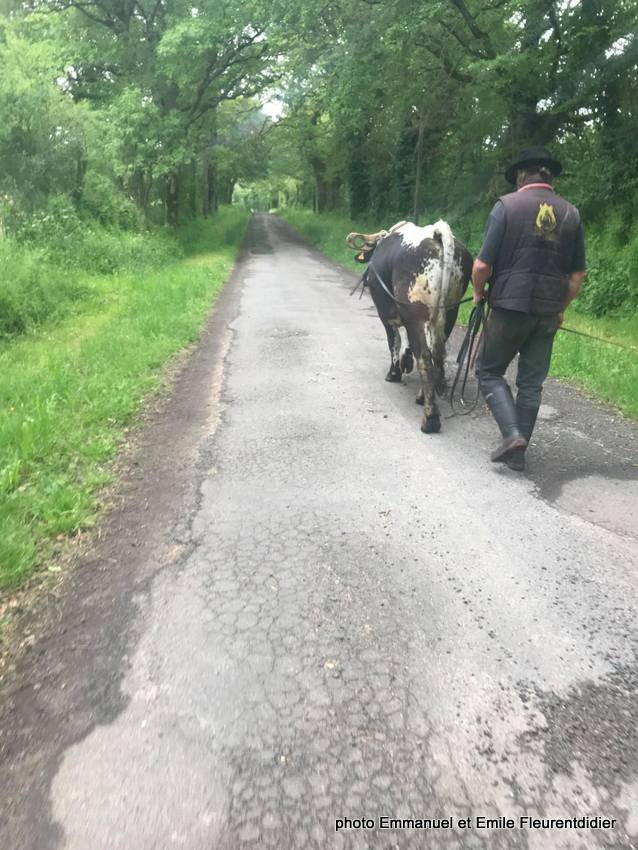 61034159_2578127148954870_6856029786066649088_n