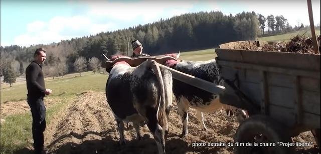 roland ayel film logo