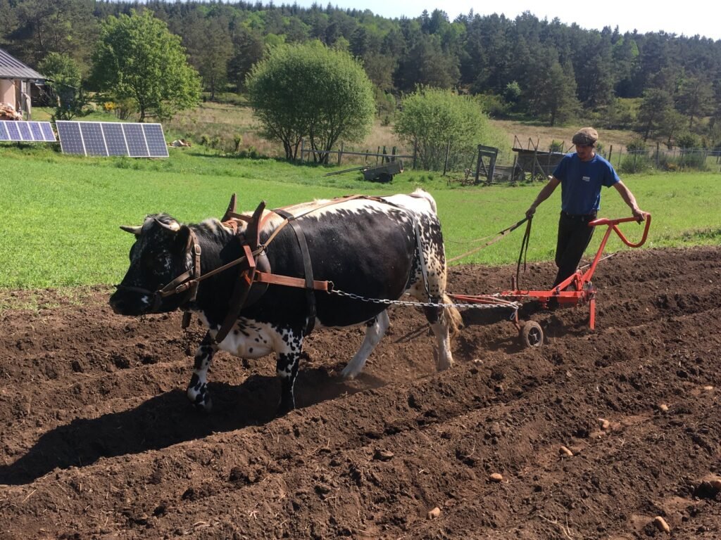 FORMATION PASCAL DURAND 2022 (7)