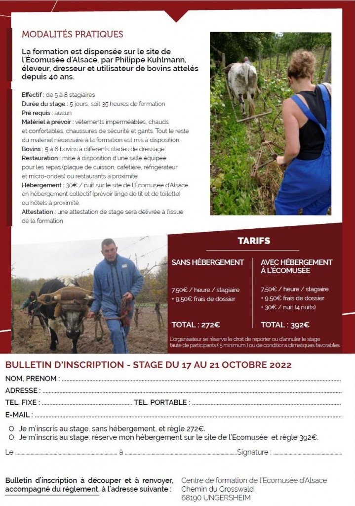 formation TB 10 2022 2