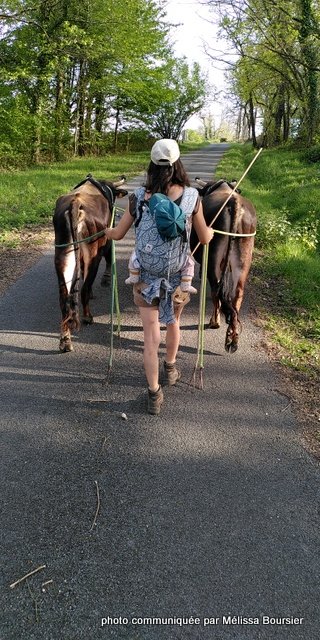 mélissa bousier (1)