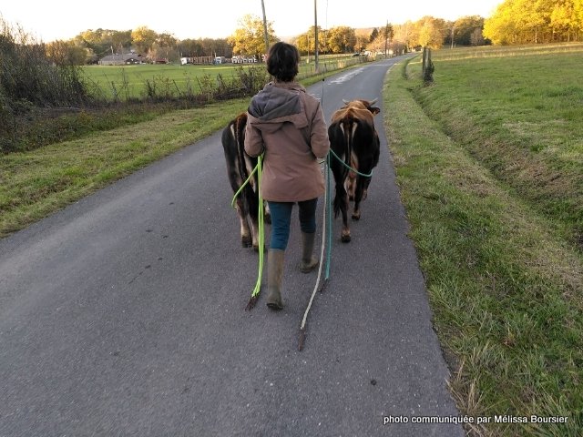 mélissa bousier (12)