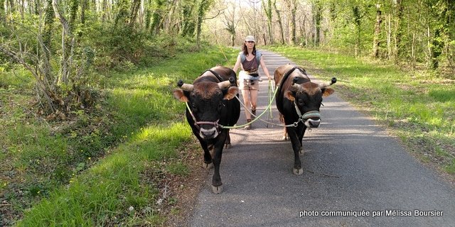 mélissa bousier (2)