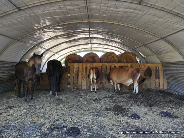 mélissa bousier (6)