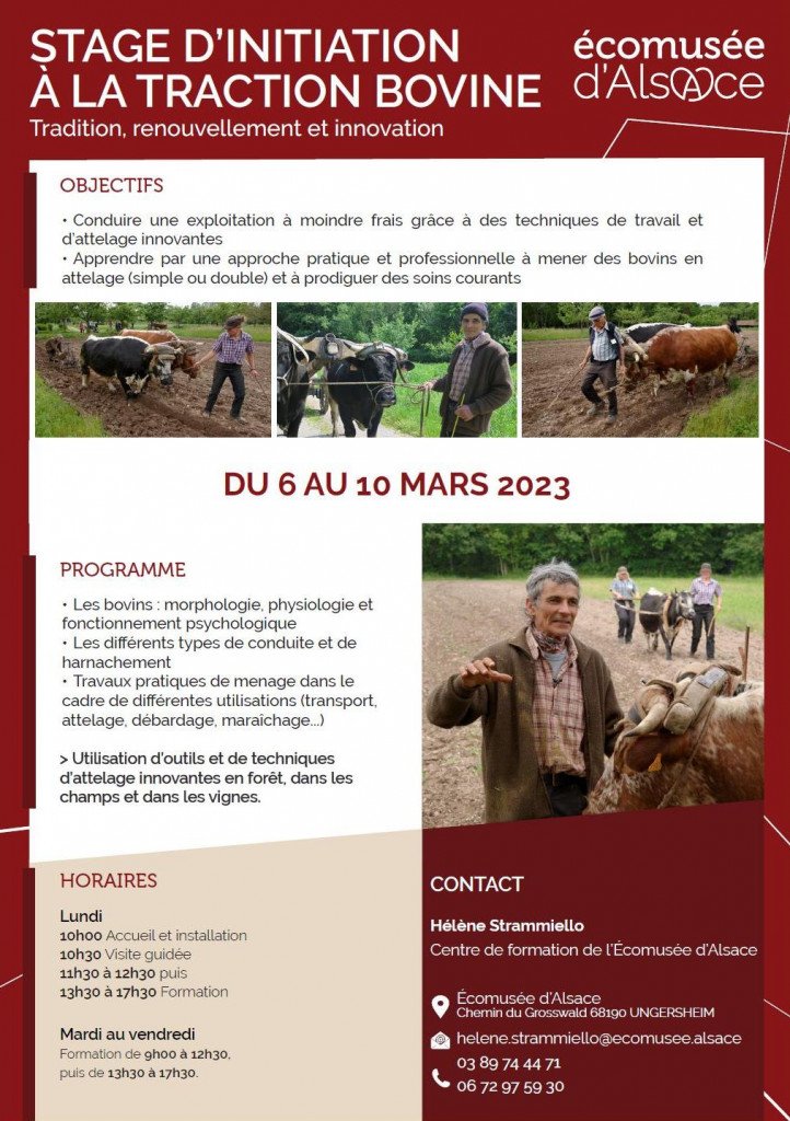 formation tb 1 mars 23