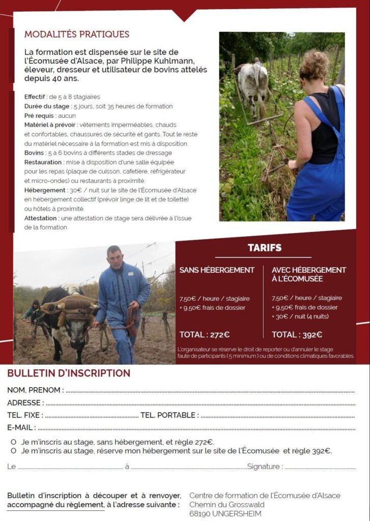 formation tb 2 mars 23