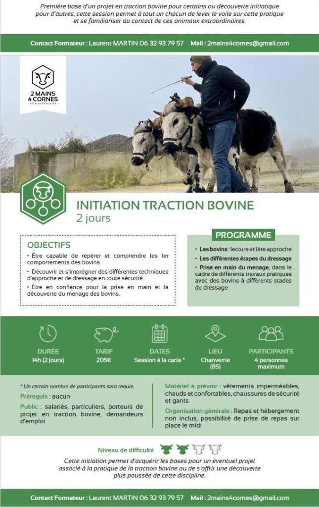 formation laurent martin 5