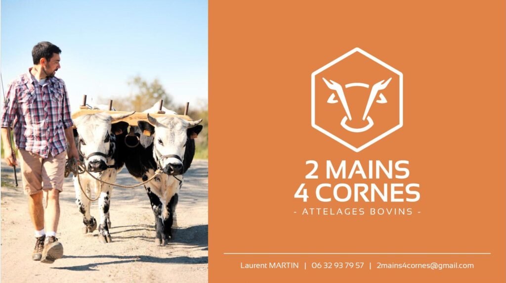 plaquette 2 mains 4 cornes 1