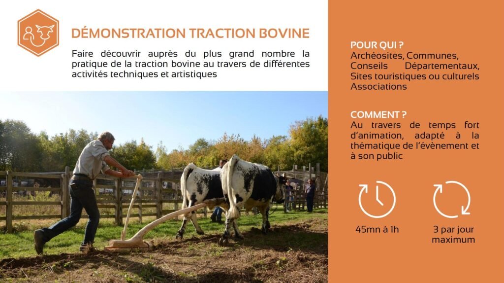 plaquette 2 mains 4 cornes 12