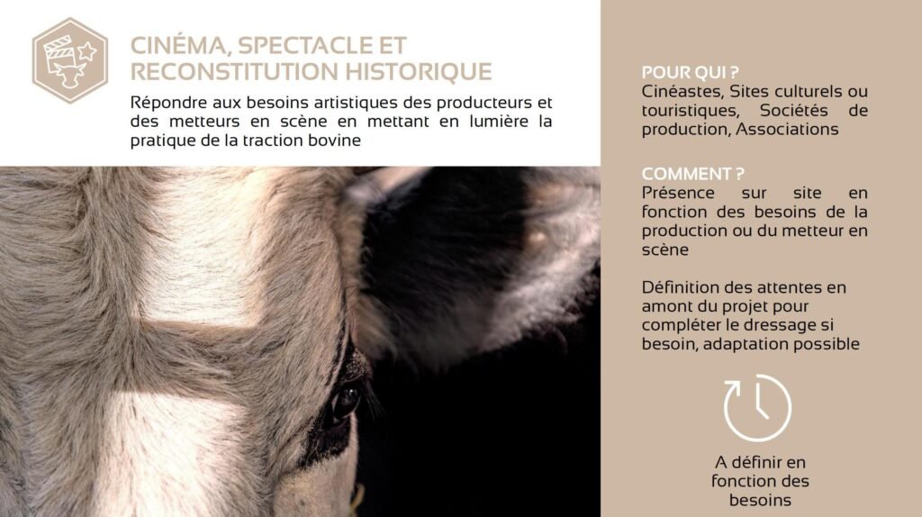 plaquette 2 mains 4 cornes 14