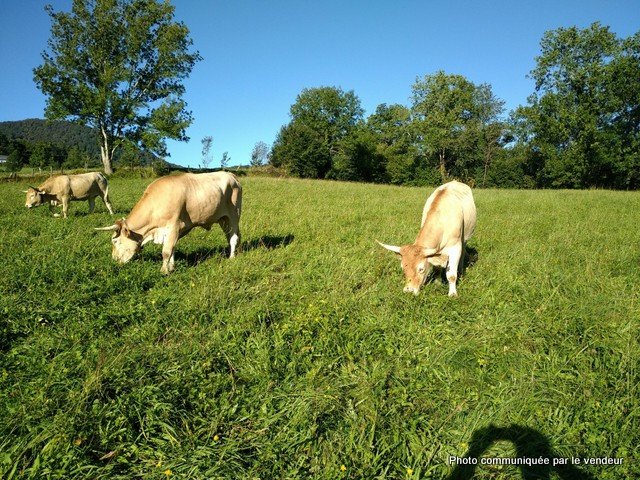 -3489892374023114477