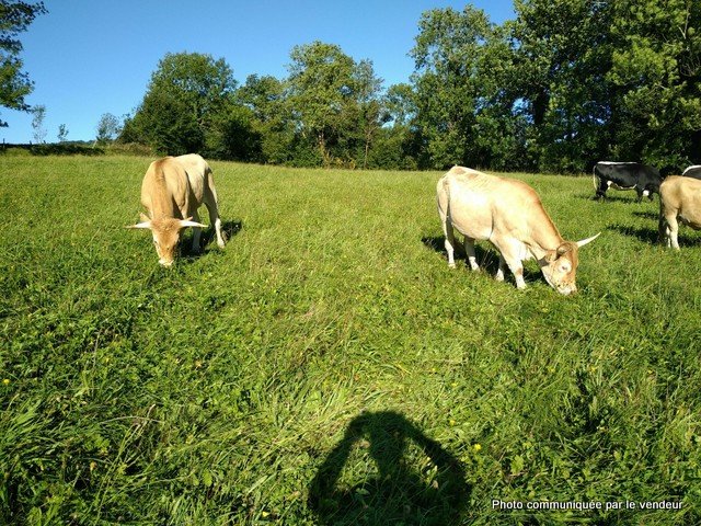 -3978374785673991672