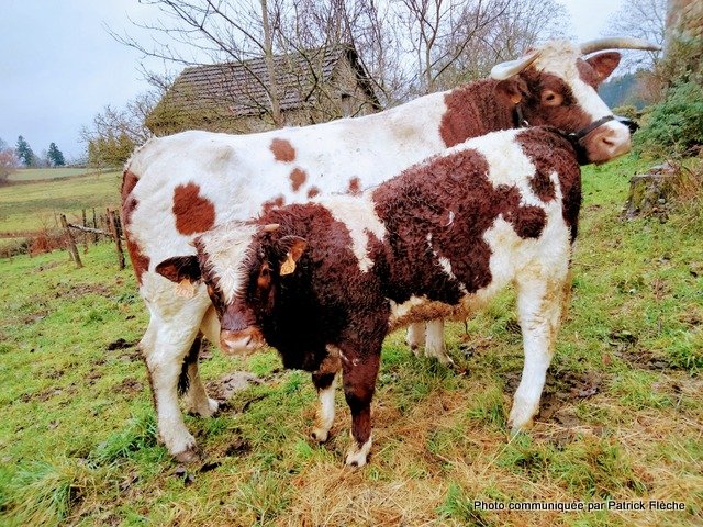 IMG20231201163013 (1)