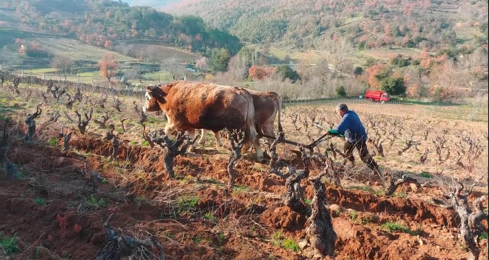 vidéo claus kropp 2024