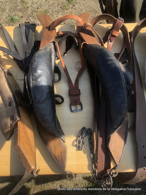 430311013_1056754582076933_2248704866779029920_n