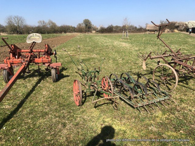 430316054_1056754498743608_1442326500279264160_n