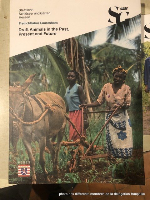 430323541_1056754858743572_1677010308526321747_n