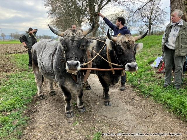 431125837_1056738728745185_3528325313168495714_n