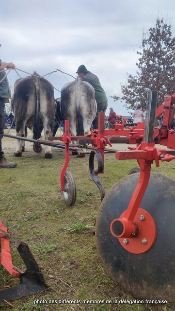 431955772_1056738545411870_4559406154894267542_n