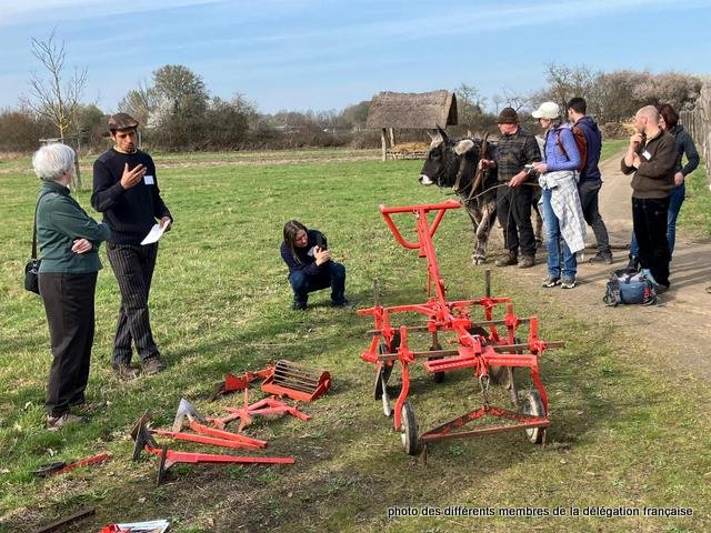 431993082_1056738442078547_8356565209669070538_n