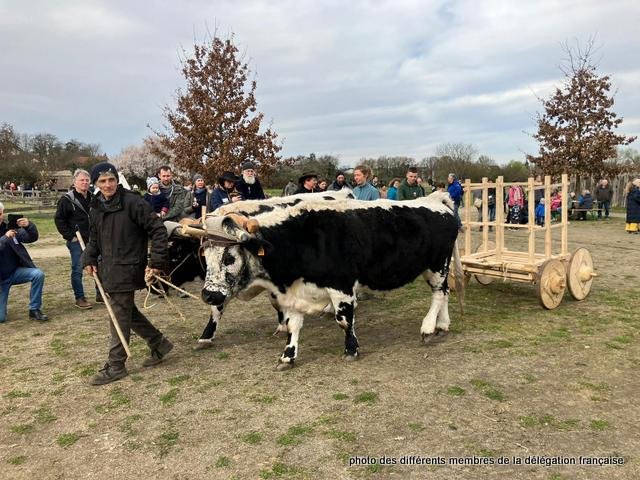 432009013_1056738968745161_2354641029624105623_n