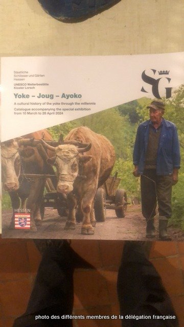 432052935_1056754358743622_4977407580962783388_n