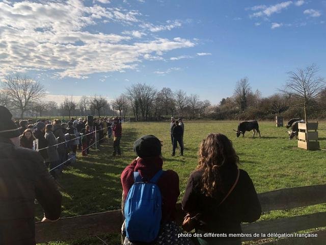 432053001_1056738738745184_2631224949343846866_n