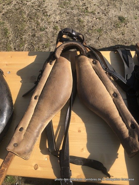 432128629_1056754595410265_8701967995476841419_n