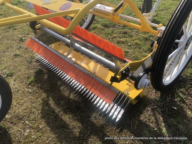 432172373_1056754735410251_4156943613980315784_n