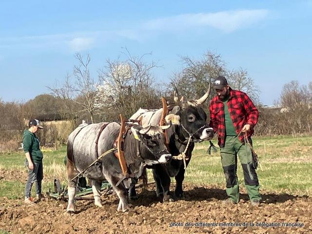 432734202_1056738455411879_4672052276233766970_n