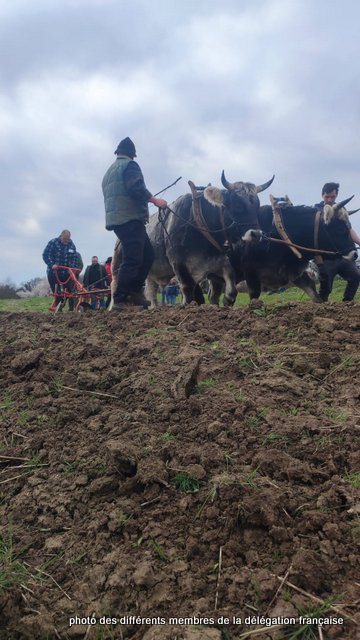 432743392_1056738532078538_8817160925501803177_n