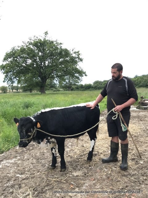 annonce challetIMG_6762