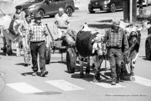 Philippe Kuhlmann et Michel nioulou