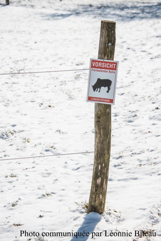 Week-end des bouviers en Allemagne