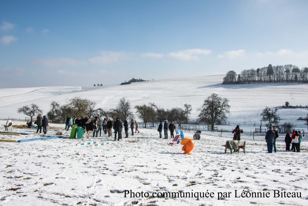 Scéance désensibilisation 
