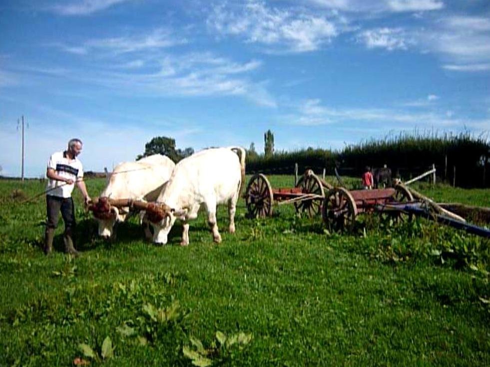 méthodes pour Chargement des grumes