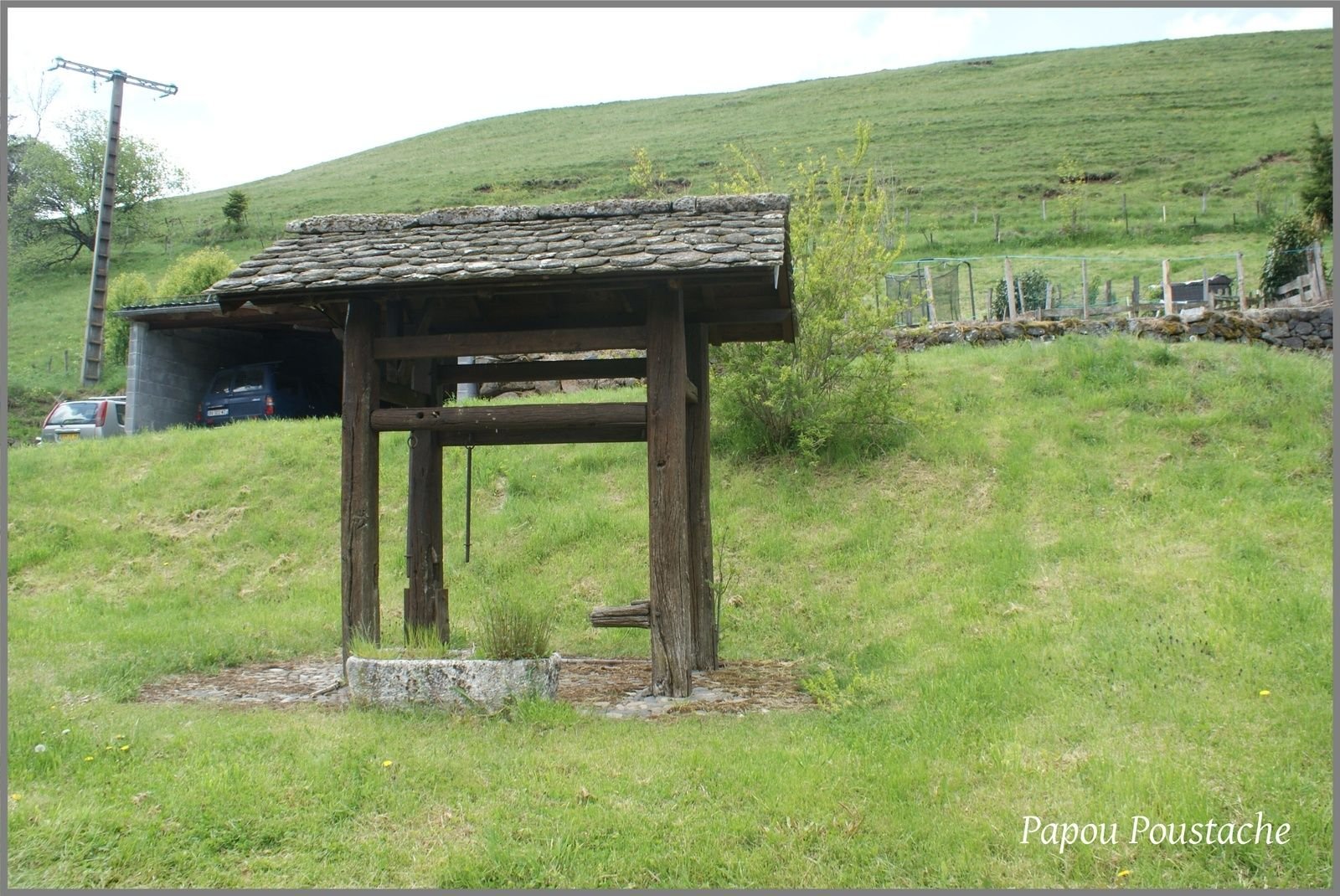 Le ferrage des vaches ou des bœufs