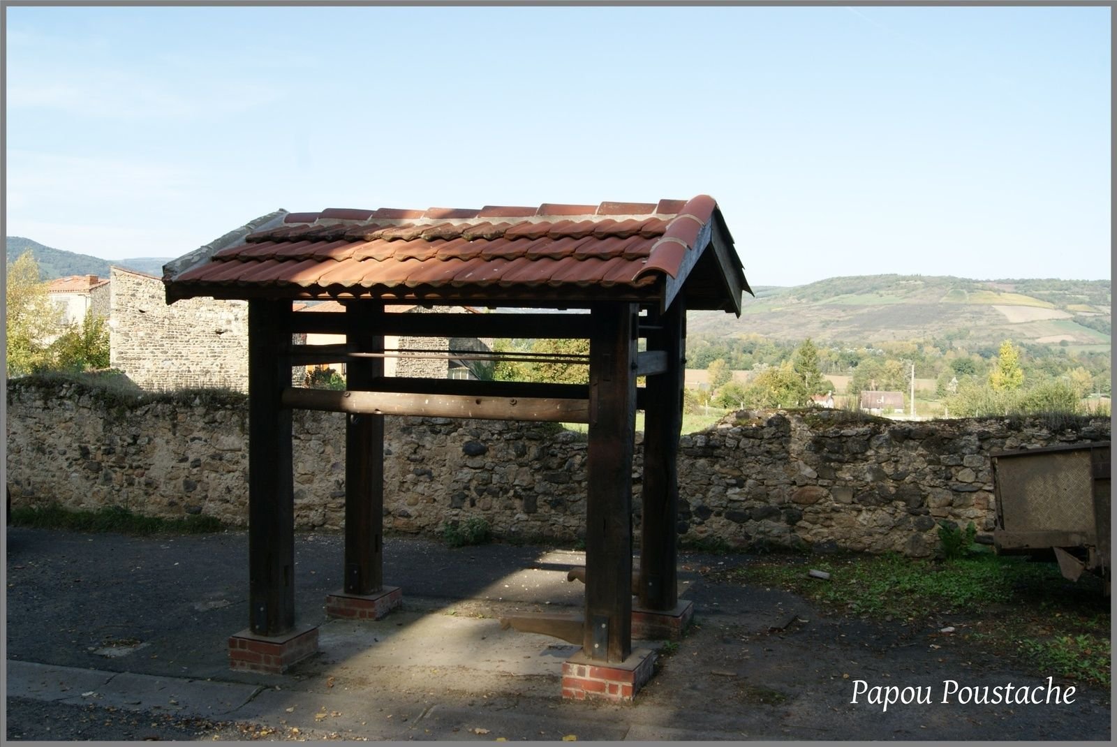 Le ferrage des vaches ou des bœufs